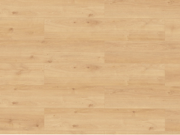 Stratifié Skyline Trend Harmony Oak natrl beige Plancher maison de campagne