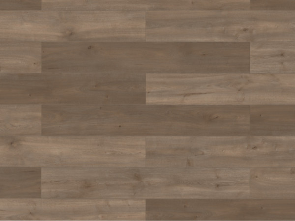 Stratifié Lifestyle Trend Bellemont Oak grey brown Plancher maison de campagne
