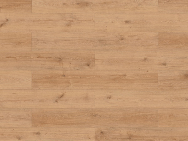Stratifié Skyline Trend Harmony Oak lightnatural Plancher maison de campagne
